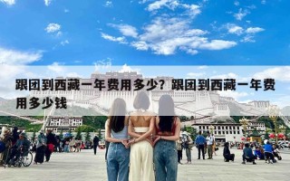 跟团到西藏一年费用多少？跟团到西藏一年费用多少钱