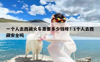 一个人去西藏火车票要多少钱呀？1个人去西藏安全吗