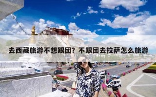 去西藏旅游不想跟团？不跟团去拉萨怎么旅游