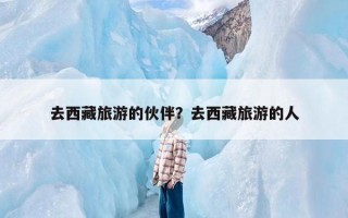 去西藏旅游的伙伴？去西藏旅游的人