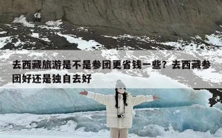 去西藏旅游是不是参团更省钱一些？去西藏参团好还是独自去好