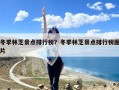 冬季林芝景点排行榜？冬季林芝景点排行榜图片