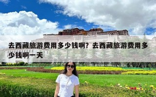 去西藏旅游费用多少钱啊？去西藏旅游费用多少钱啊一天