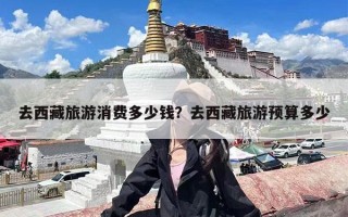 去西藏旅游消费多少钱？去西藏旅游预算多少